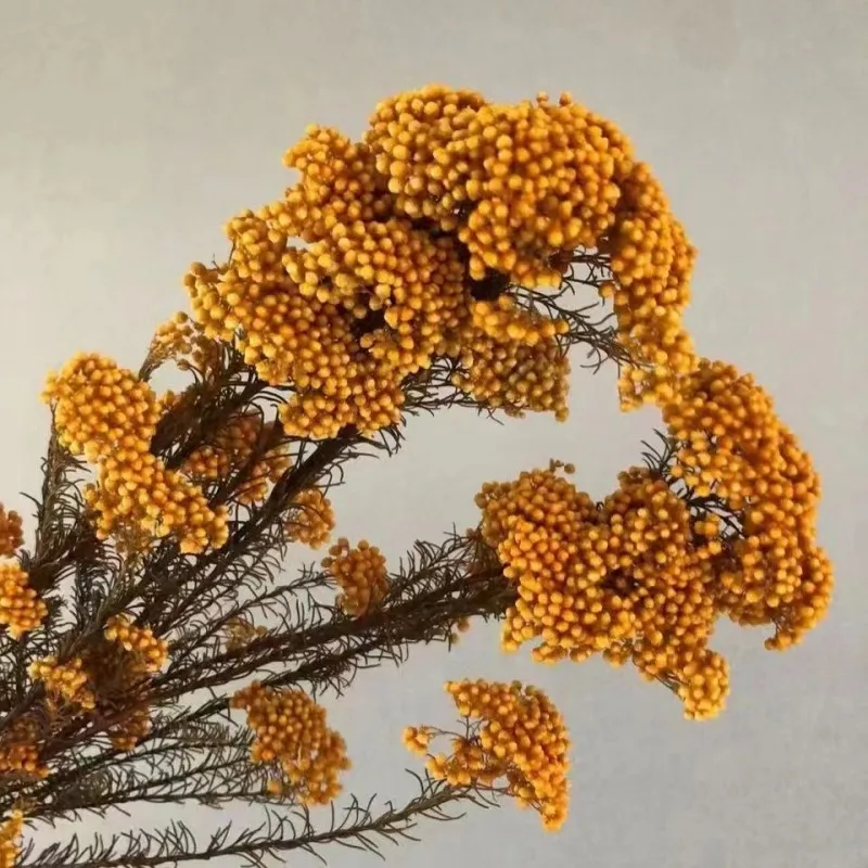 Сушеные цветы из натурального проса 50 г рождественские украшения для дома