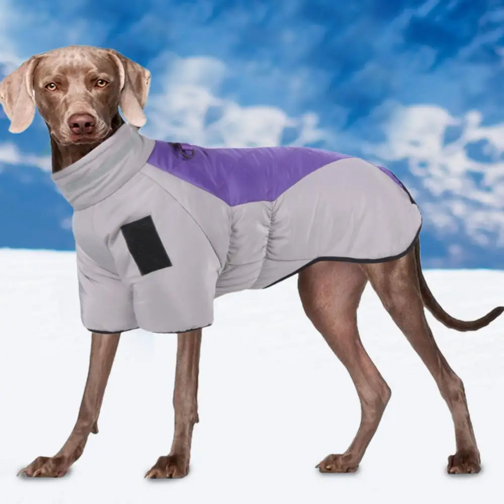 

Красивый костюм для домашних животных, утолщенный наряд из полиэстера для собак, одежда для домашних животных со светоотражающим эффектом