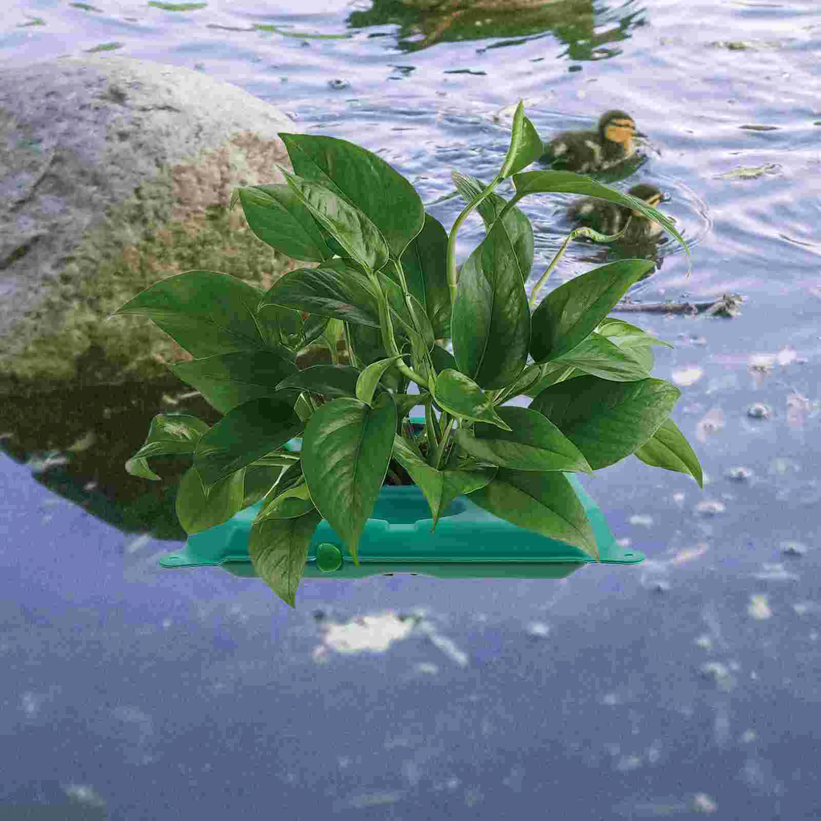 Растительный плавающий остров гидропоника водные растения садовые