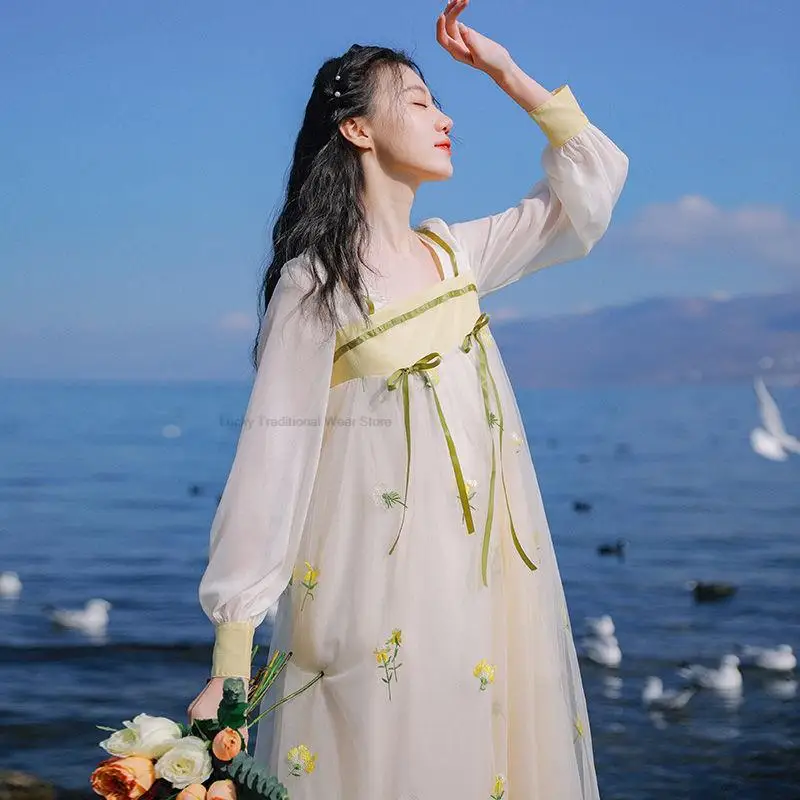 

Spring Summer Chinese Improved Hanfu Women Chiffon Hanfu Female Fairy Dance Costume Lady Elegant Mesh Embroidered Antique Dress