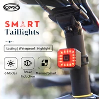 cxwxc bike smart rear light bicycle brake sensing waterproof usb rechargeable lamp cycling mtb taillight bicicleta accessories