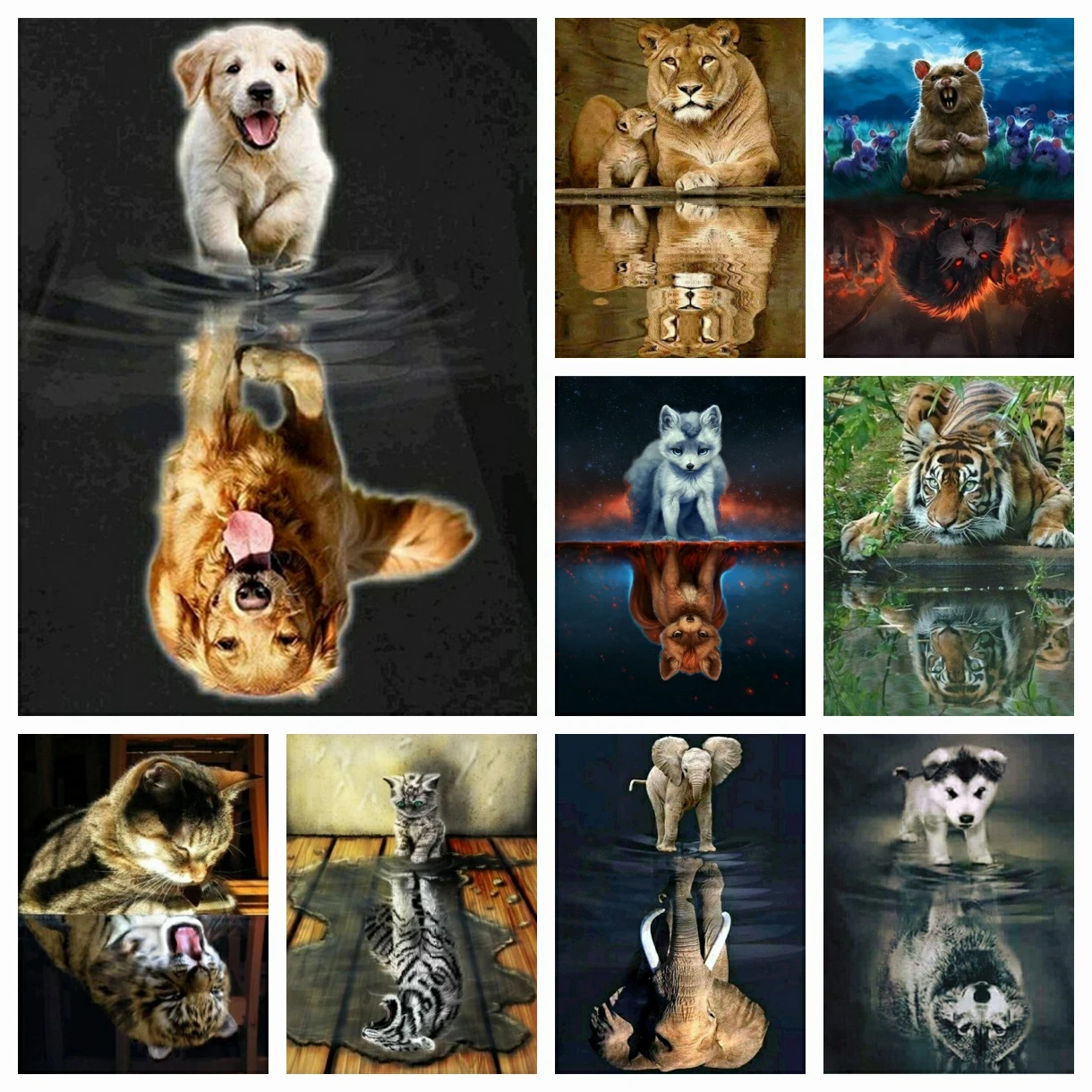 

DIY 5D AB Diamond Painting Cat Full Square Diamond Embroidery Animals Reflection Pictures Of Rhinestones Mosaic Home Decor