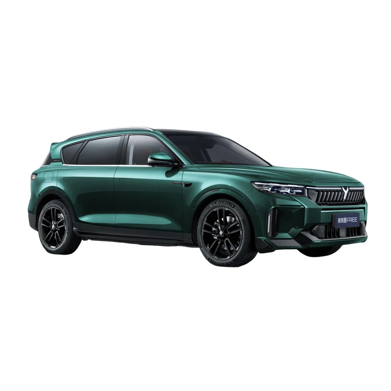 2024 Voyah Бесплатная Новая Энергия транспортных средств недорогая 694 лошадиных сил