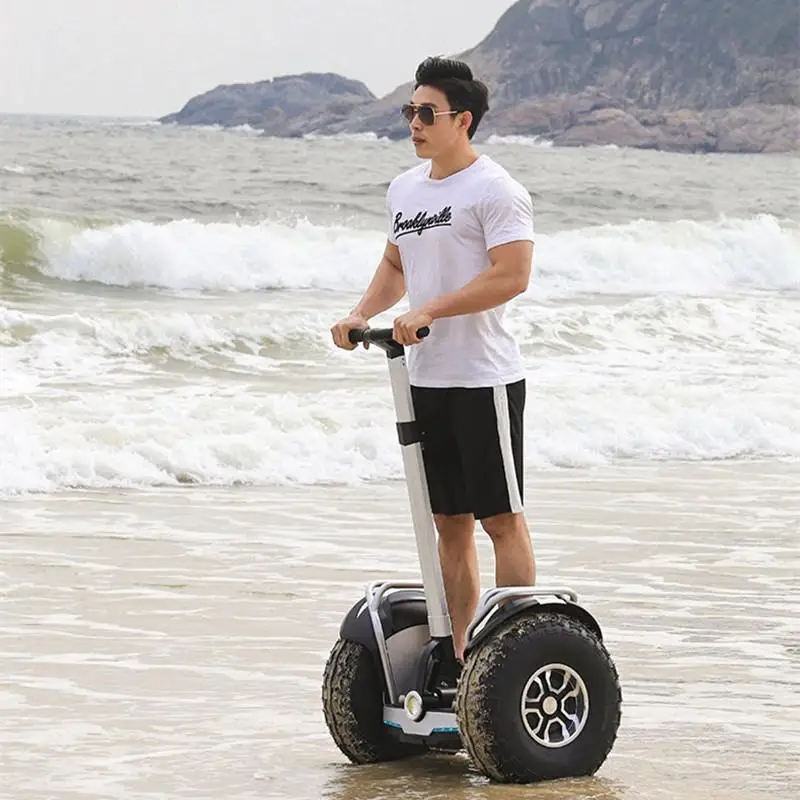 

Daibot Off Road Electric Scooter 60V Two Wheel Self Balancing Scooters 19 Inch 1200W*2 Hoverboard Adult Electric Scooter