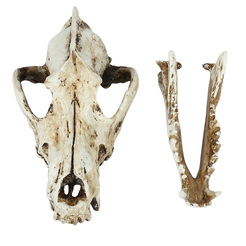 Креативная копия каучукового черепа Реплика учительской модели скелета