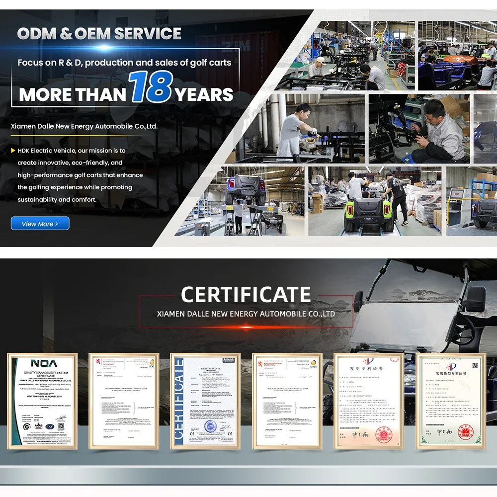 HDK EVOLUTION 4-местный черный цвет клубный сад универсальный автомобиль для взрослых 48