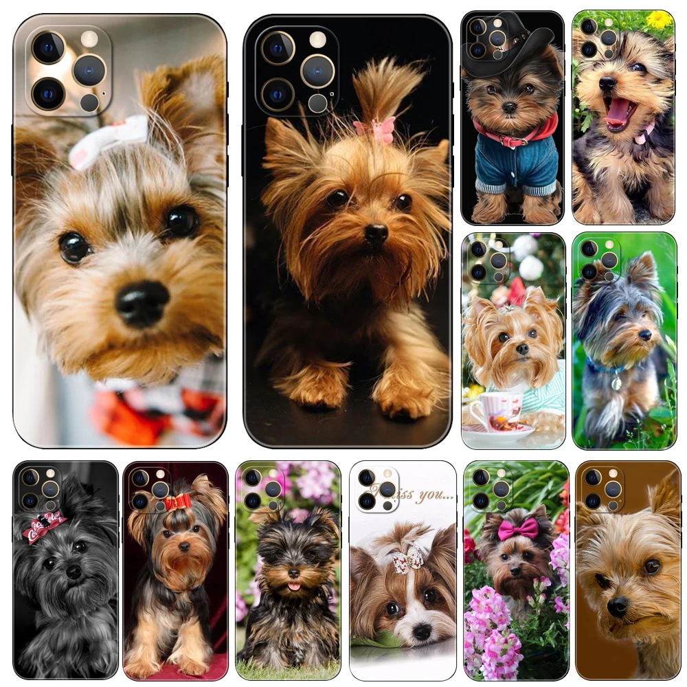 

Чехол для телефона с изображением йоркширского терьера собаки для iphone 5 женских моделей 2020se 6 6s 7 8 plus x 10 XR XS 11 12 13 mini pro MAX черный чехол из ТПУ