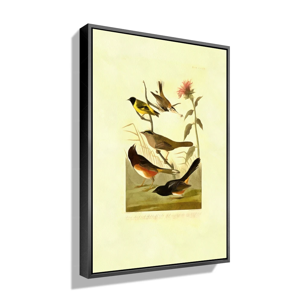 

Forbeauty Картина на холсте в рамке с изображением птиц для домашнего декора