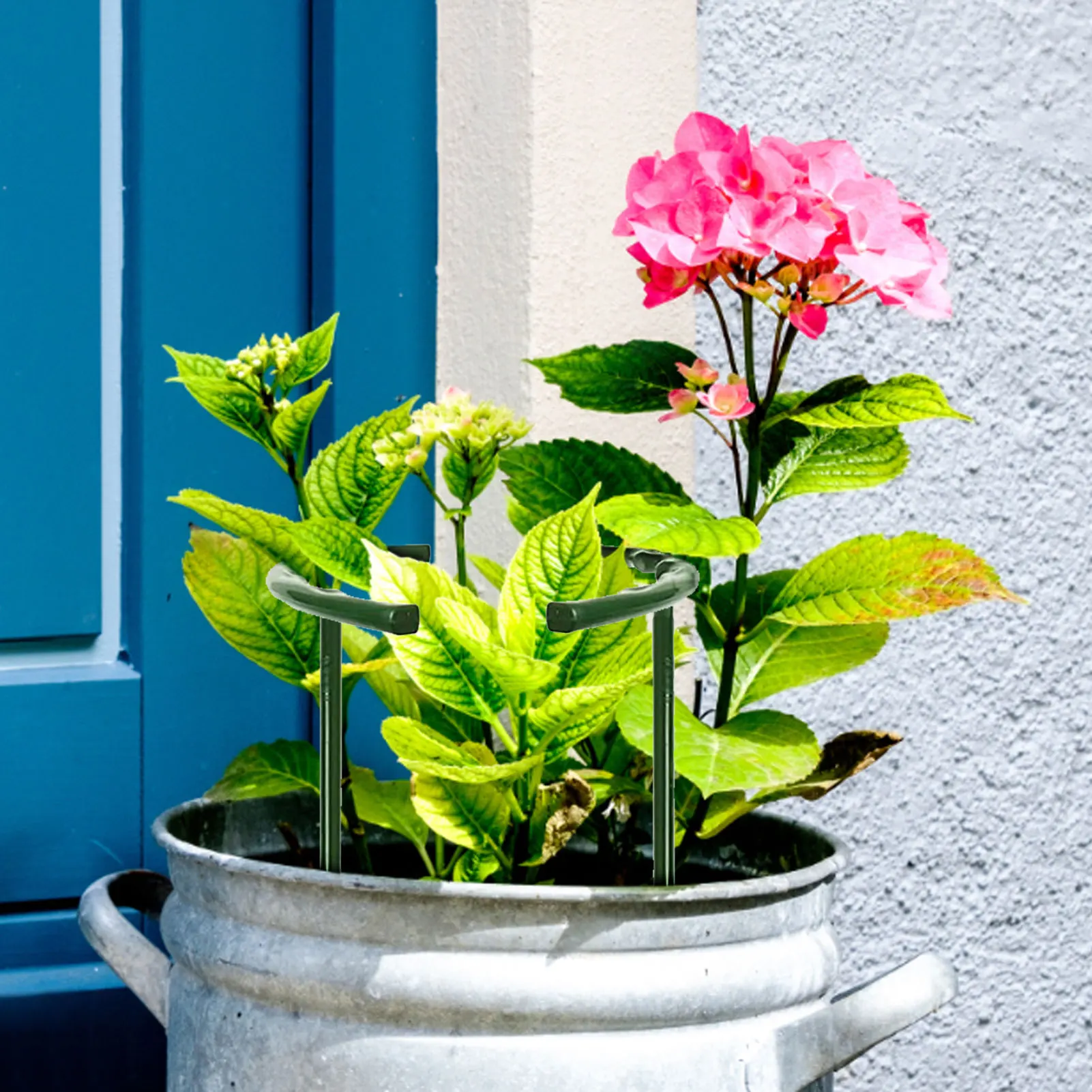 

Garden Plant Support Stakes 6/12pcs Green Half Round Garden Stem Plant Supports Cage Plant Climbing Support Ring For Orchid Rose