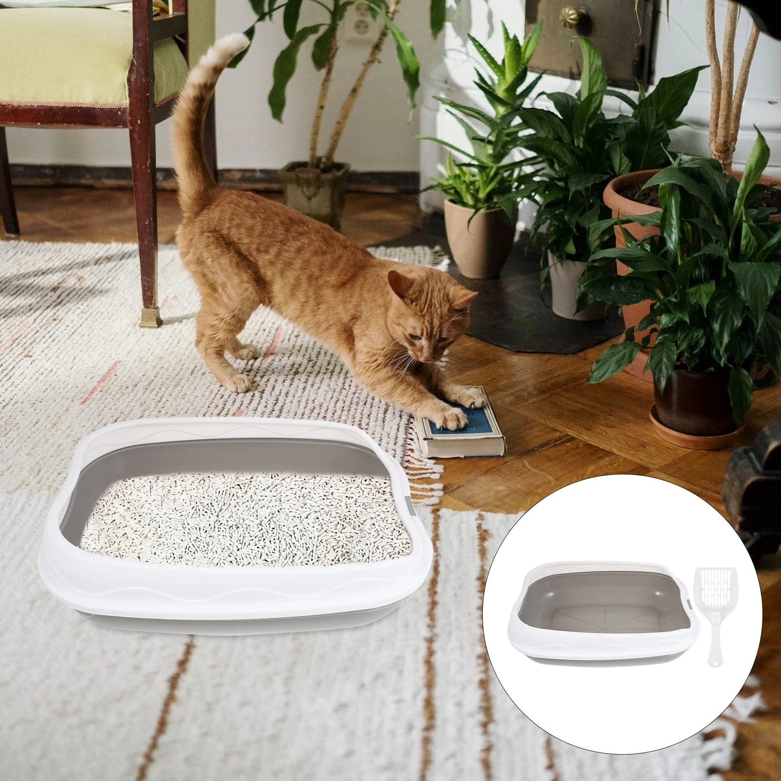 

Litter Box Cat Anti Cats Petkitten Pan Sided Highsplashing Potty Toilet Entry Bedpan Open Basin Training Non Stick Tray Dog