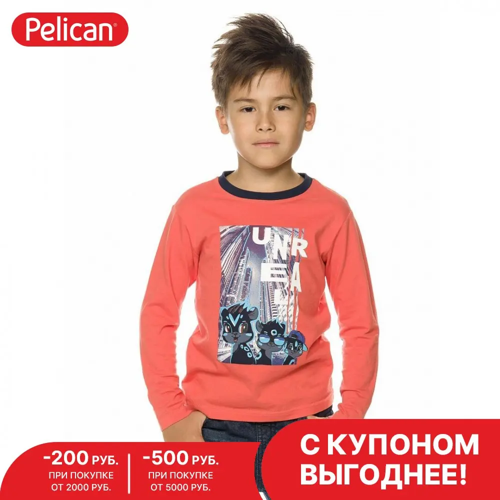 Джемпер для мальчиков 1-5 лет Pelican арт. BFJ3193/1 |
