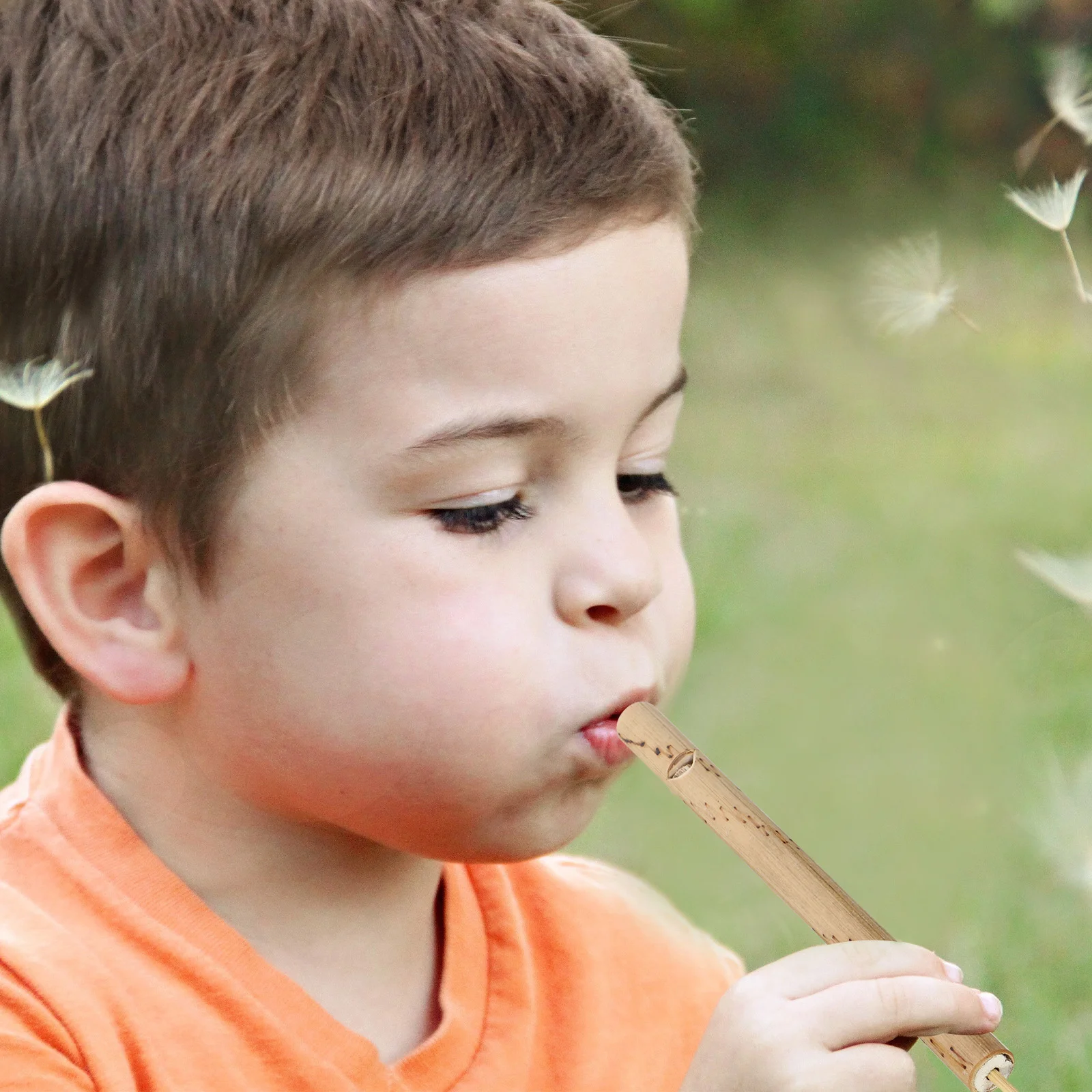 5 шт. бамбуковая флейта свисток для птиц игрушки подростков колокольчик