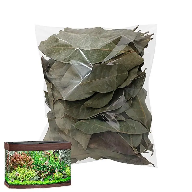 

Turtle Longan Leaf Betta Fish Toys Longan Leaves To Improve Water Quality And Create Realistic Habitat 50Pcs Longan Leaf For