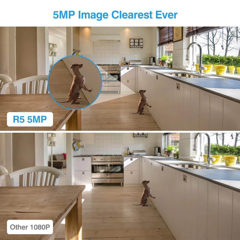 Рисунок 2 - Камера видеонаблюдения Foscam