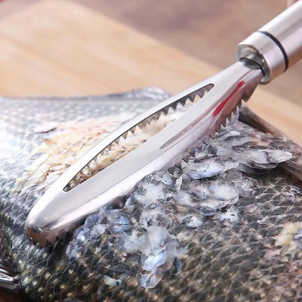 

Кухонный нож для чистки рыбной чешуи, инструмент из нержавеющей стали для чистки рыбы, щеточка для рыбной кожи, для кухни Ga O5u1