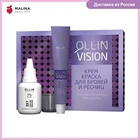Комплект для окрашивания бровей и ресниц OLLIN PROFESSIONAL VISION 2*20 мл