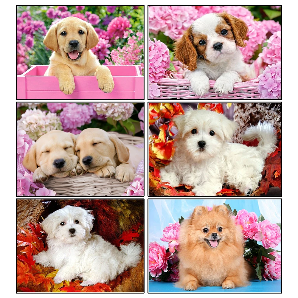 

5d Diamond Painting Full SquareRound Dog flower animal Picture Of Rhinestone DIY Diamond Embroidery Home rait Rhinestone Picture