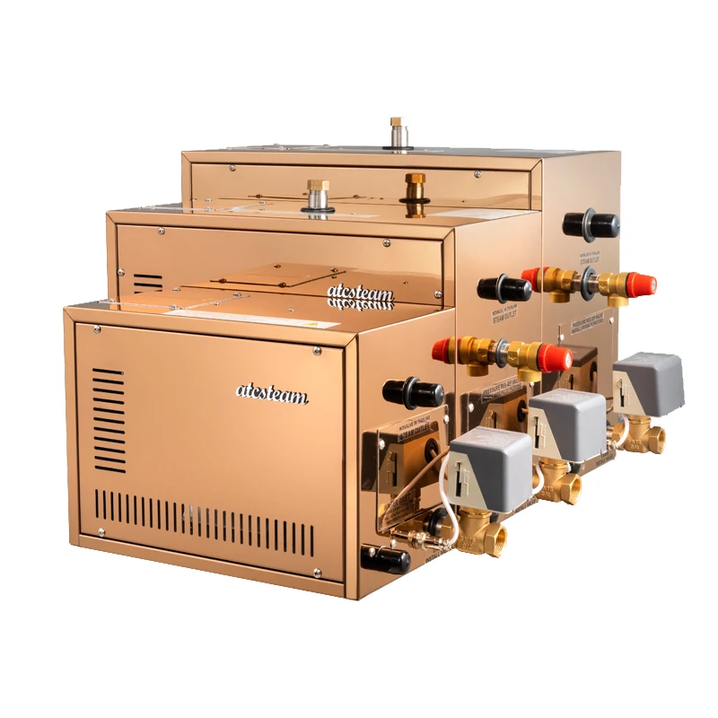 

3KW ATCSTEAM Steam Bath Spa Steam Bath Generator For Steam Bath
