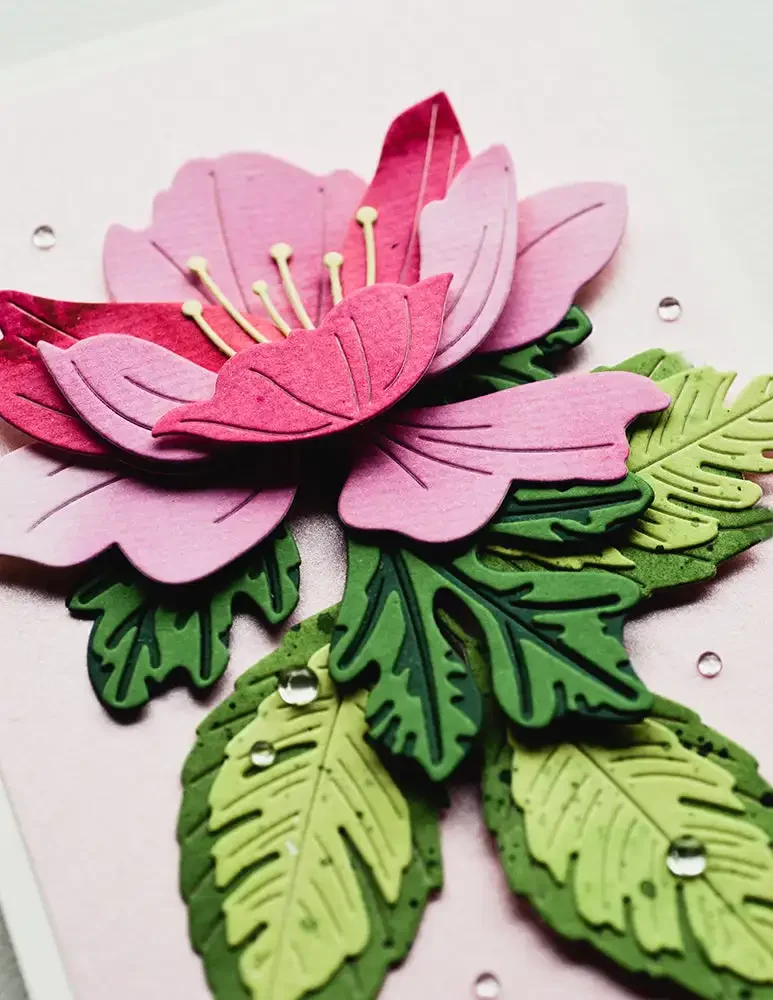 BirchPress дизайн Цветочный поперечный слой набор штампов 2024 Новые шаблоны Сделай Сам