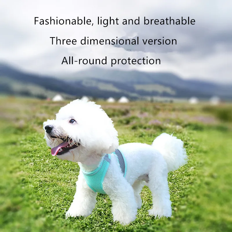 

Dog Harness Leash Set for Pet Dog Cat Adjustable Cat Harness Collar Vest French Bulldog Chihuahua Pug Outdoor Walking Lead Leash