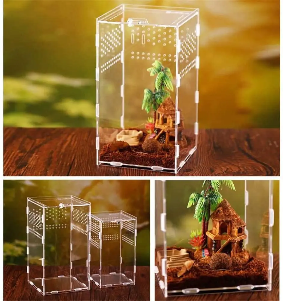 Вольер для рептилий и амфибий с коробкой для кормления насекомых 12x12x20см, акриловый прозрачный разводочный ящик.