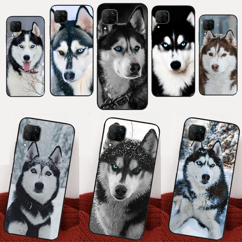 Чехол для Huawei Nova 5T 10 9 SE 7i 8i 11i Y60 Y61 Y70 Y90 P40 P20 P30 Lite P60 Pro P Smart