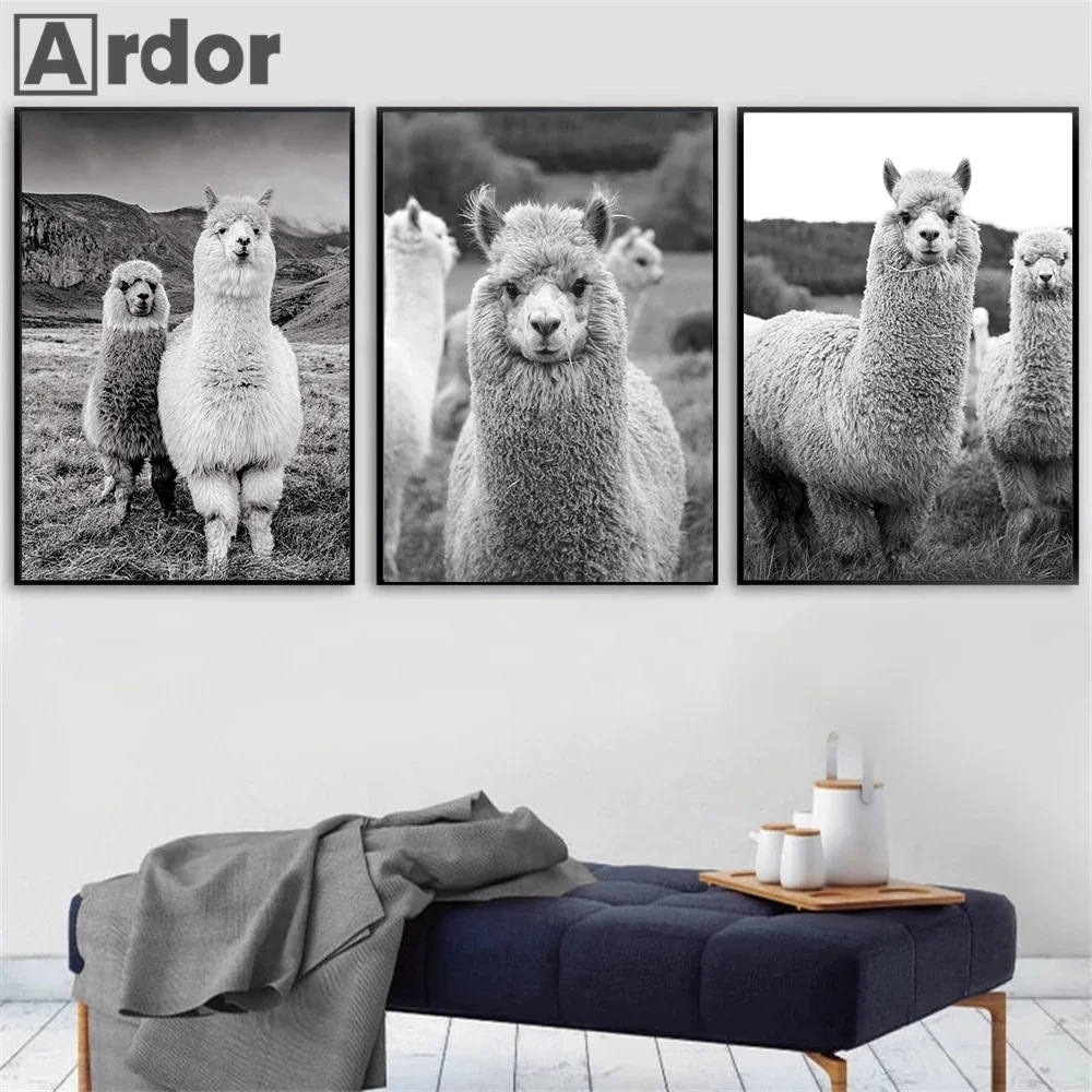 

Alpaca Poster Animal Canvas Art Painting Nursery Decorative Picture Llama Wall Art Prints Black And White Wall Kids Room Decor