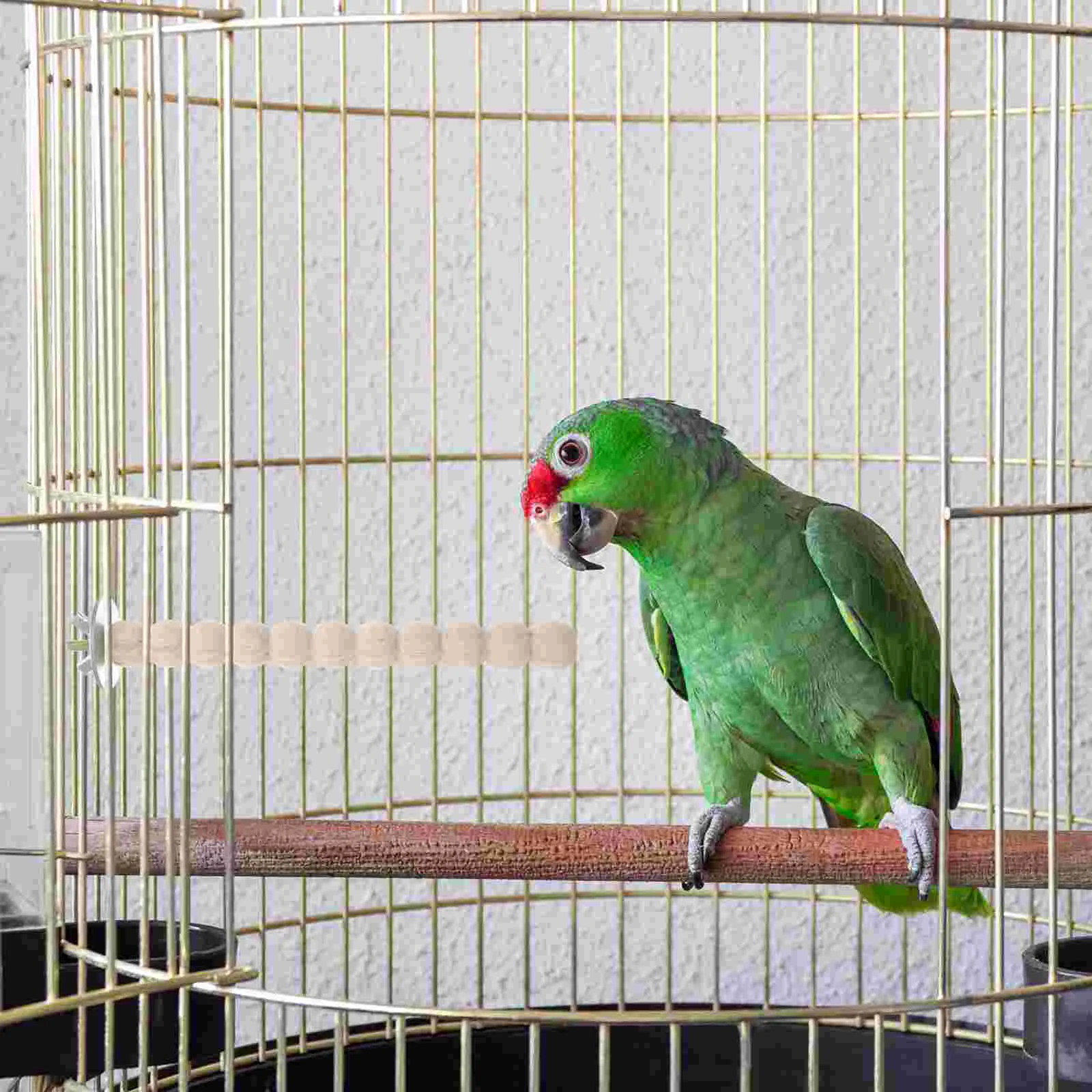 

Bird Toy Cockatiel Toys Parakeet Cage Perch Perches Cockatiels Wood Stand Accessories Long Tail