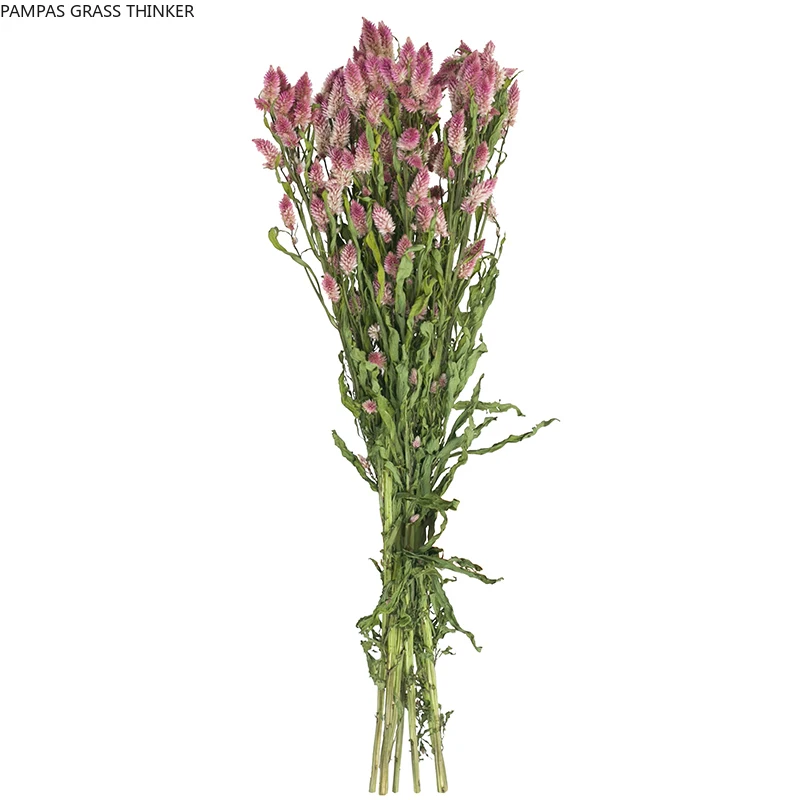 

15pcs Dried Home Decor Flower Pink Christmas Valentine's Day Gift Wedding Touch Decor Gift Show flower Bouquet for Shopwindow