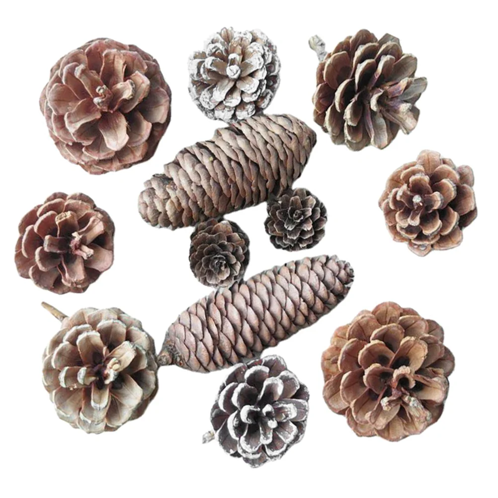 

24Pcs Party Pine Cone Ornament Natural Pine Cone Decor Christmas Decor