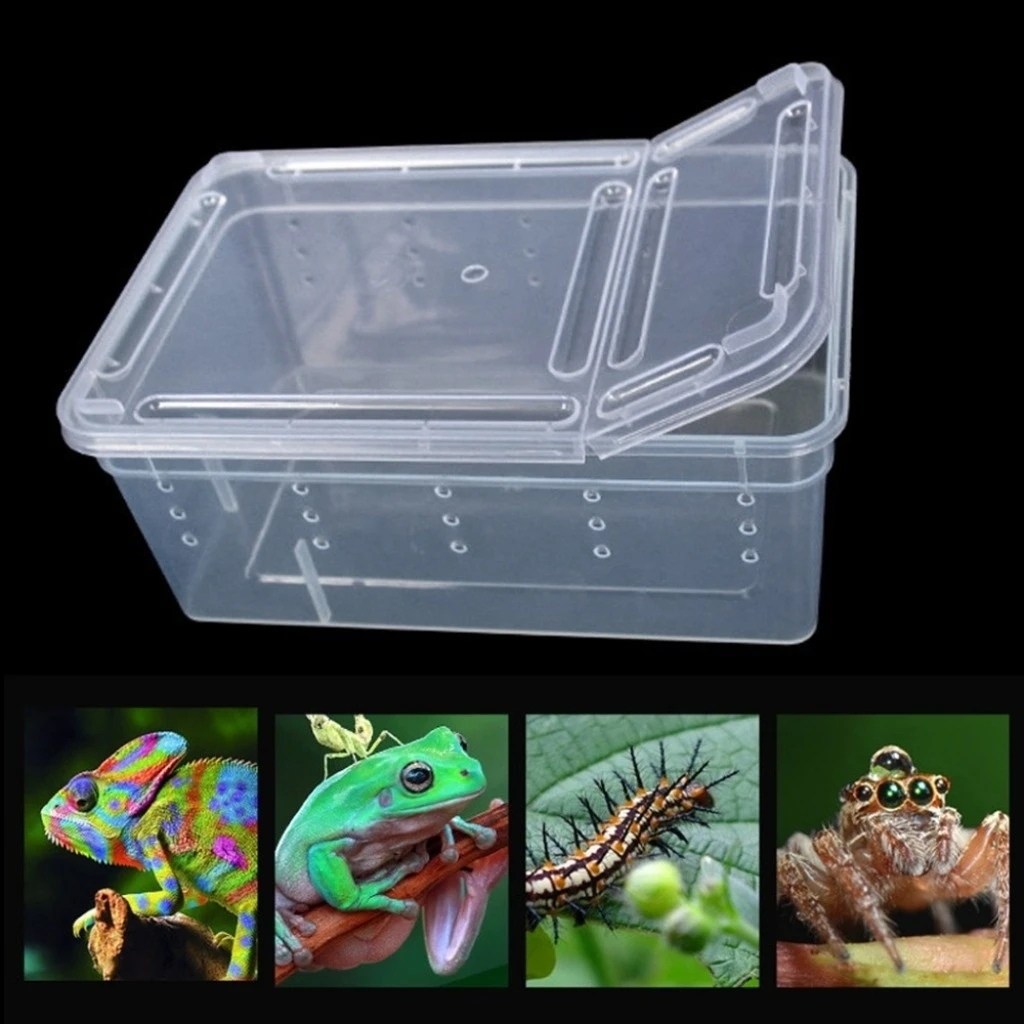 

Transparent Plastic Box Insect Reptile Terrarium Clear Breeding Live Food Feeding Box Snakes Lizard Frogs House