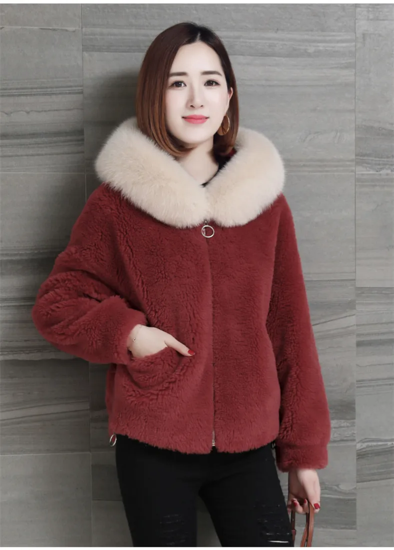 Coat Faux Fox Fur Plush Coat 2022 Autumn  Winter Faux Fur Women's Short Hooded Jacket Fur Thick Warm Oudoor Coats  Fur