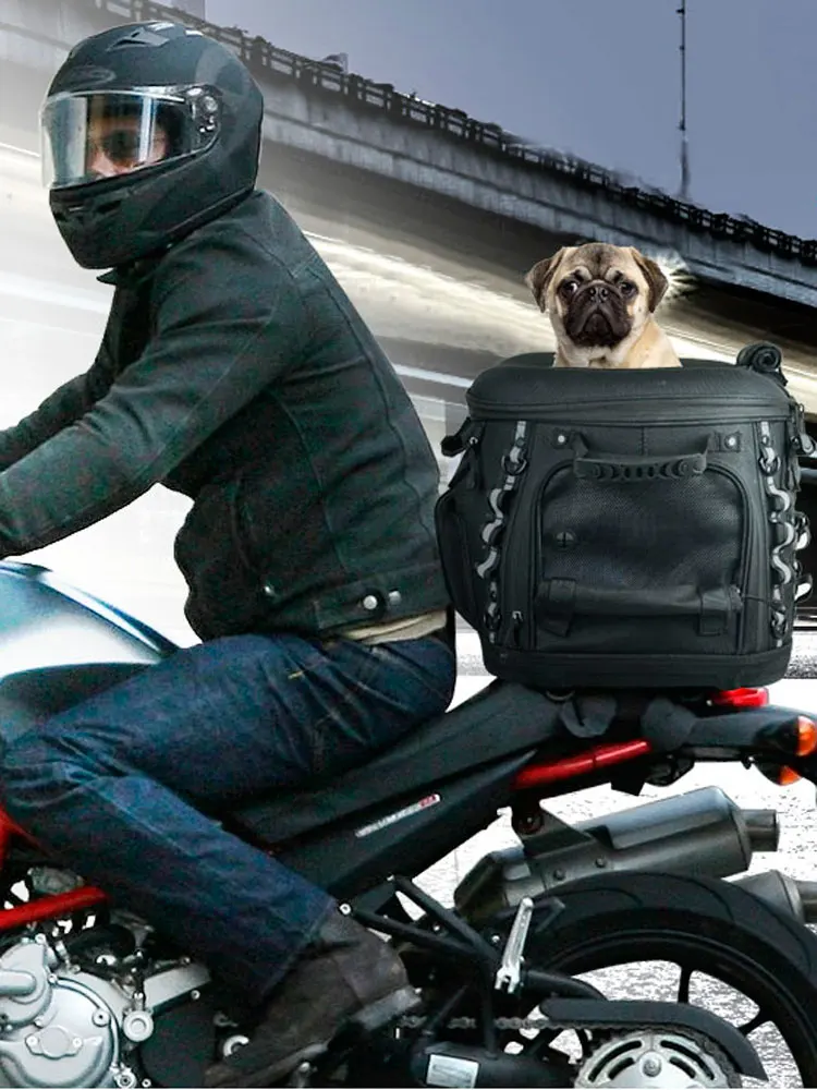 bolso perros moto – Compra bolso perros moto con envío gratis en AliExpress  Mobile.