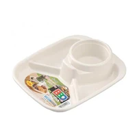 unbreakable divided plate unbreakable multi functional plate for food unbreakable divided fruit dishes plate for kids and