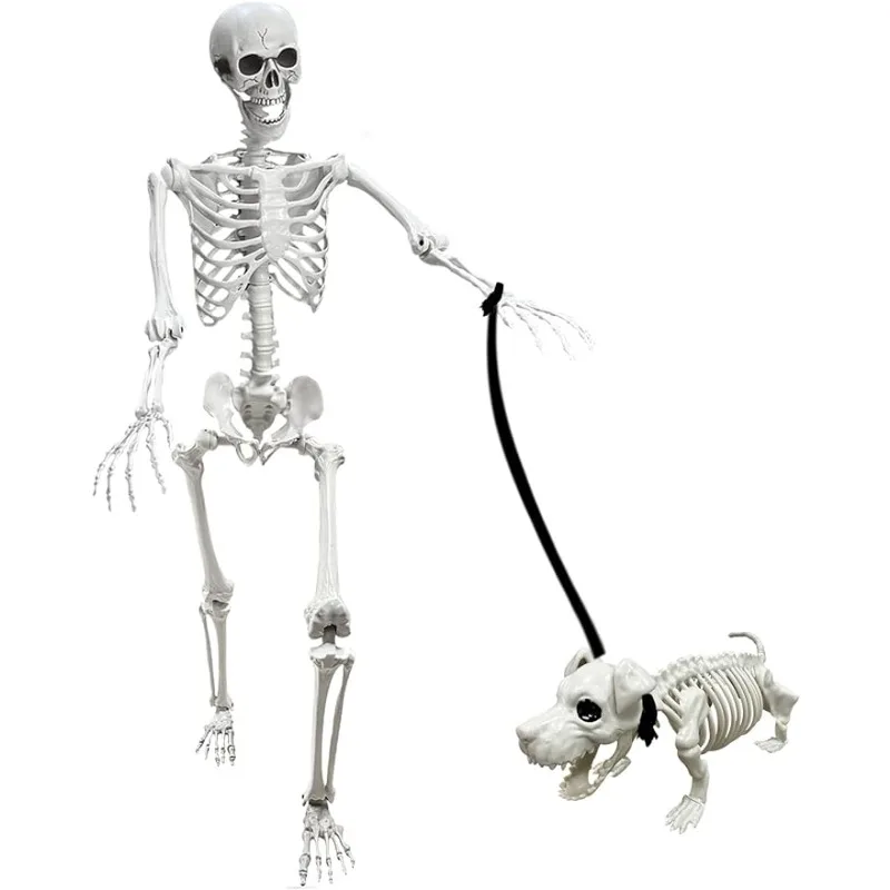 

Lodou 5.4Ft Posable Life Size Human Skeletons,Adult Skeletons with Dog Skeleton,Plastic Human Bones with Movable Joints