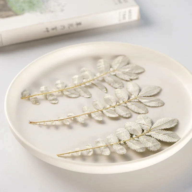 60 шт. цветочный гербарий Электронная карточка закладки рамка лампа для макияжа