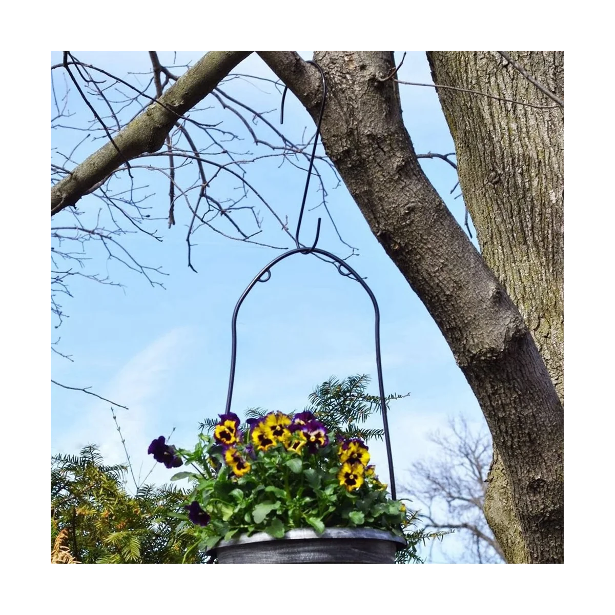 

6 шт., металлические крючки для кормушки птиц, 12 дюймов