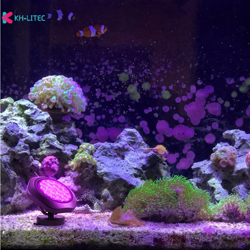 Рисунок 3 - Новинка, RGB фотоэлемент для бассейна