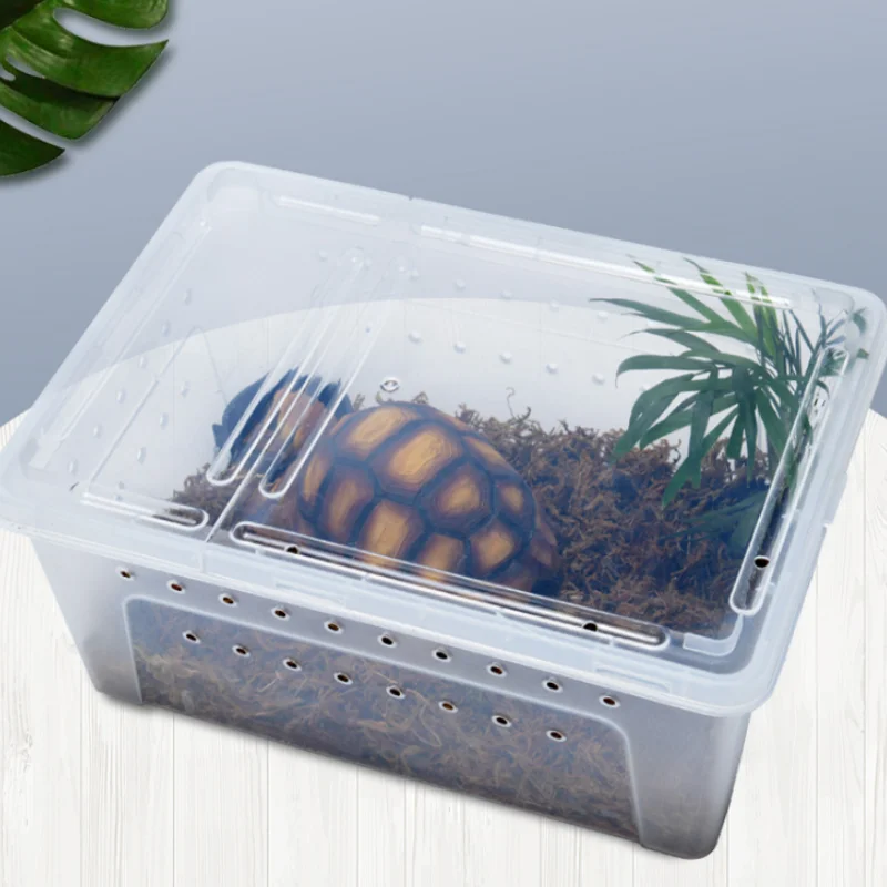 

Reptiles Breeding Box Transparent Spider Turtle Lizard Snake Terrarium Habitat Feeding Box Reptile Case Hatching Container