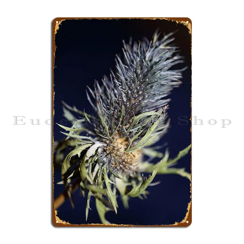 

Фиолетовый цветочный металлический плакат Eryngium для гостиной дизайн на заказ Настенный декор жестяной плакат