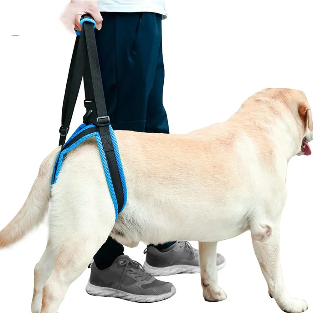 

Ремень для прогулок для собак с ограниченными возможностями, дополнительный пояс для дрессировки собак и домашних животных, для поддержки ...