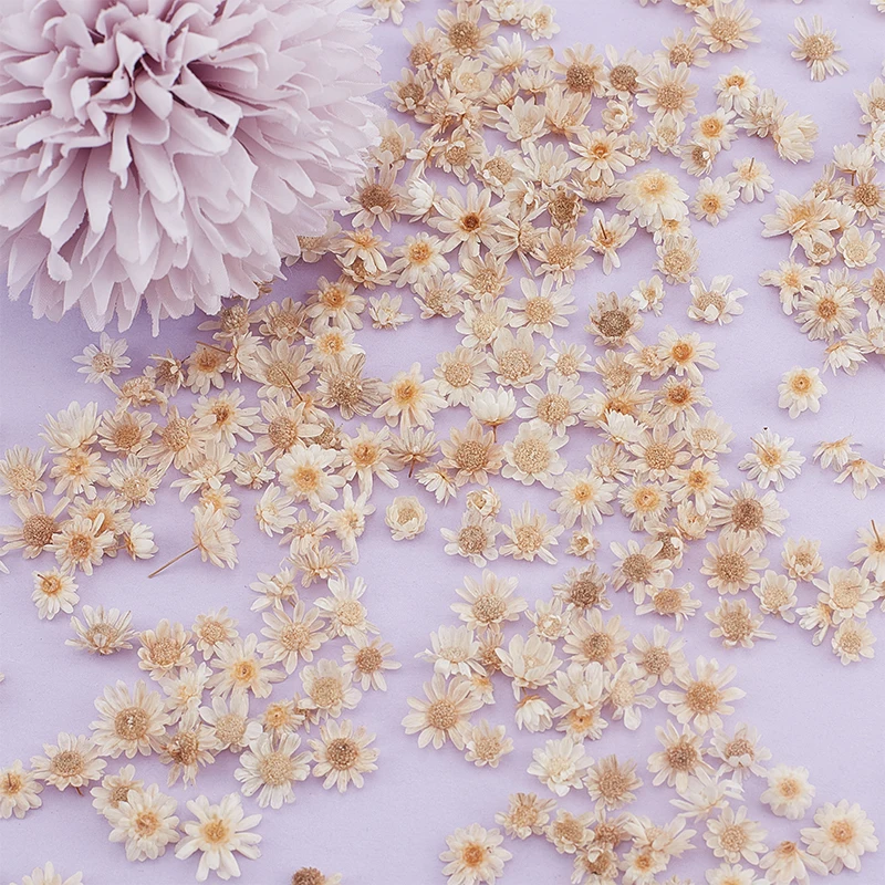 100/200PCS Real Dried Flowers Brazil Little Star Flower For DIY Art Craft Epoxy Resin Candle Making Jewellery Hot - купить по