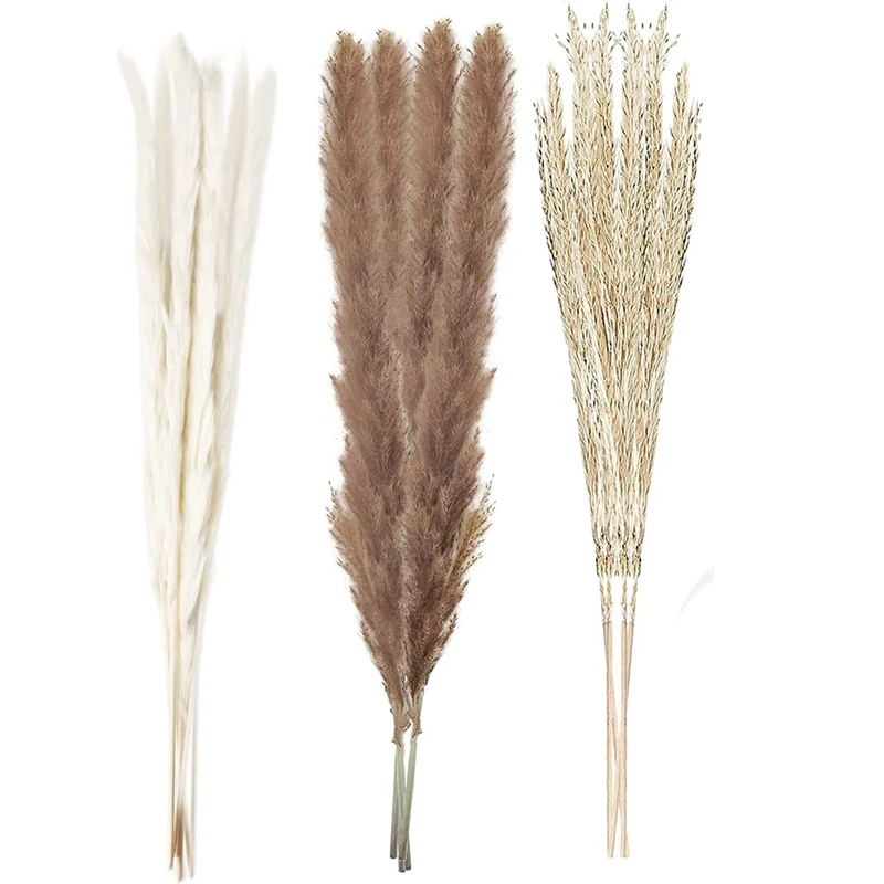 

Tall White Grass Decoration Total 60 Pieces Of Natural Plants Home Decoration Bouquet Props Family Wedding Decoration