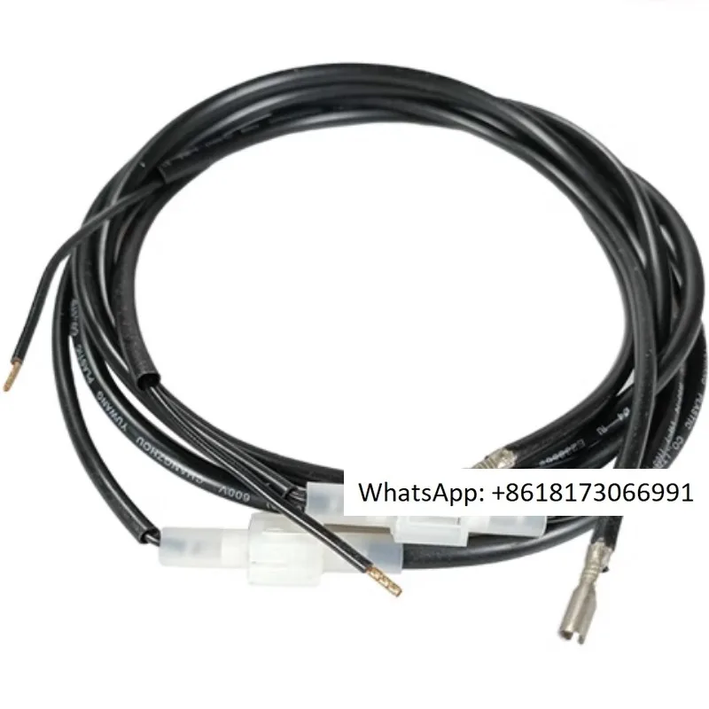 Ионный зонд для двигателя сгорания FS10 FS20 BS4 RS34 RS70 RS190