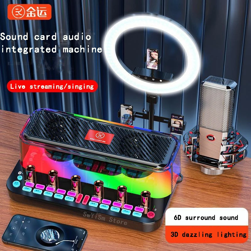 Mobile Phone Indoor And Outdoor Bluetooth Recording Karaoke Speaker