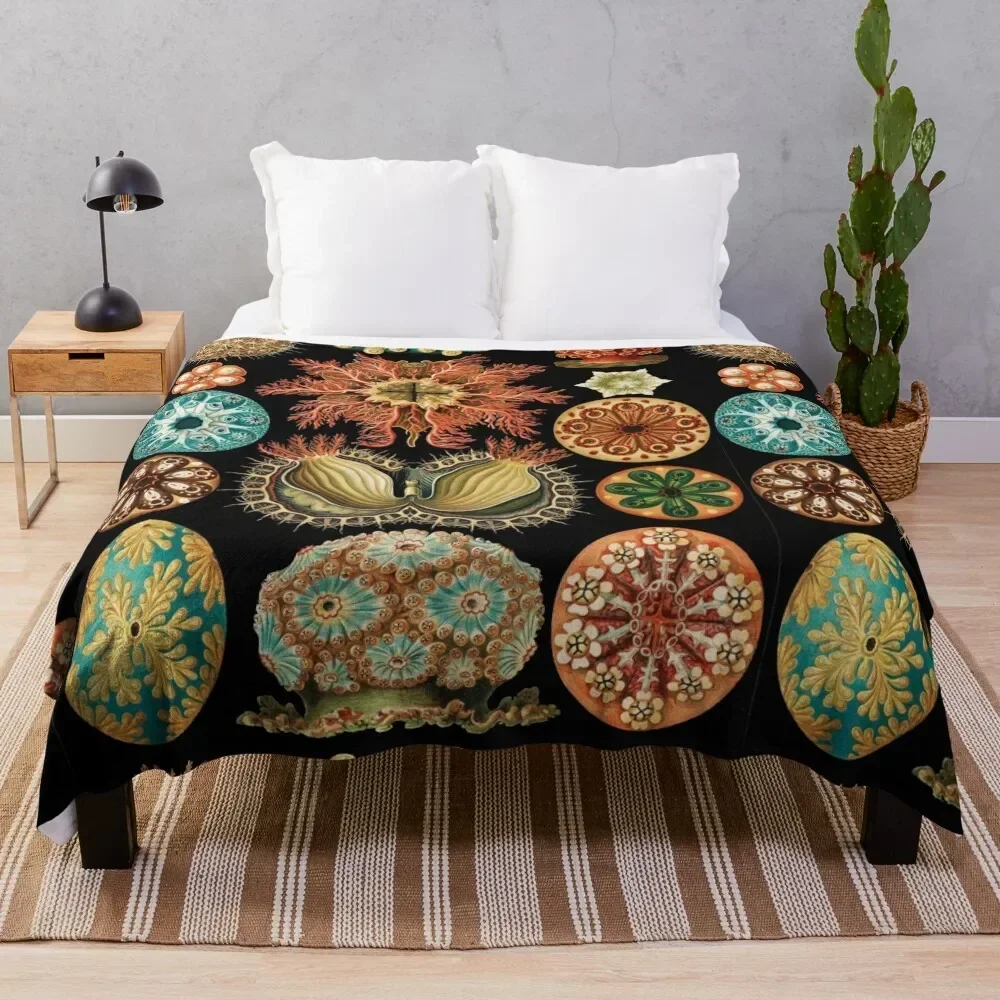 Одеяло в виде морских сквиртов асцитацеи Рождественское украшение одеяла и