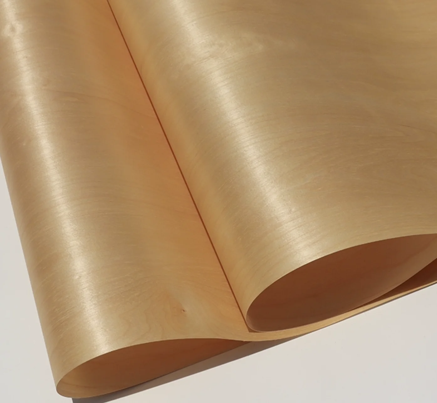 Рисунок 6 - L: 2,5 метров ширина: 580 мм Т: 0