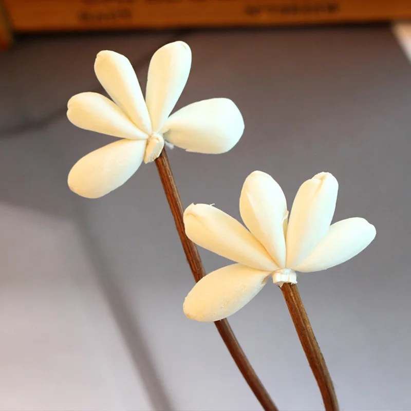 

Primary Color Flower Finger Shape No Fire Aromatherapy Rattan Sticks for Reed Diffuser Replacement Sticks Home Decoration
