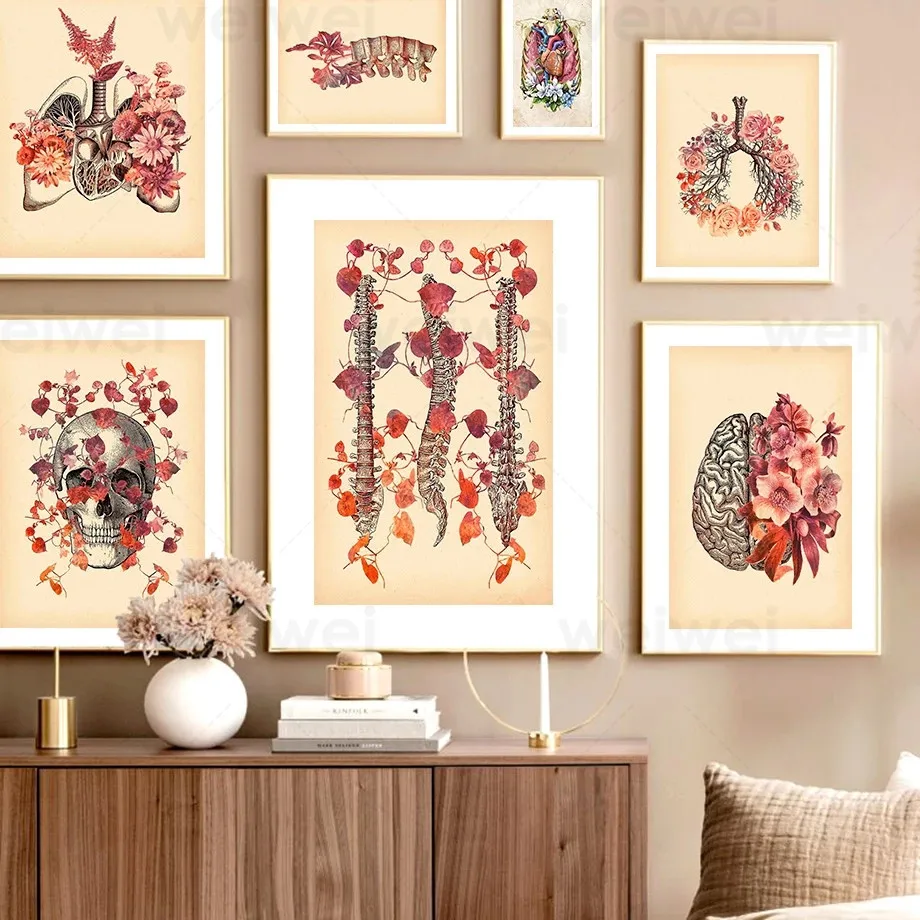 

Medical Human Organs Anatomy Diagram Brain Spine Skull Nordic Style Wall Art Canvas Painting Poster and Print Living Room Decor