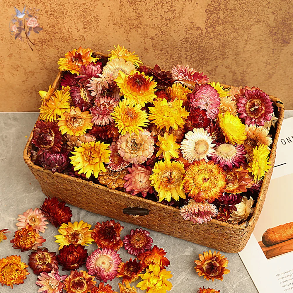 מאגר הקופונים הסודי של עליאקספרס! 300+ קופונים למוצרים מבוקשים! 1593 Sc67536274da340a59bc88422c8d5d9ddL